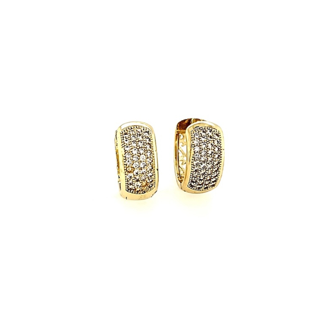 Golden Hoop Earrings